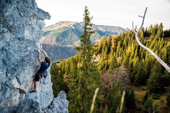 5_Klettern_auf_der_Hörndlwand__Large_.jpg