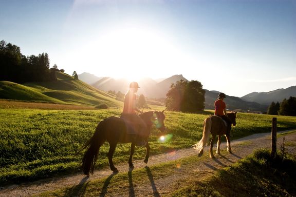7_Reitparadies_Ruhpolding__Large_.jpg