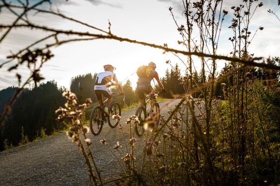 2_Mountainbike_am_Unternberg__Large_.jpg